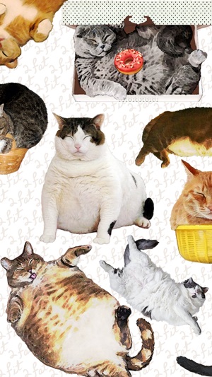 CatNap 2: Fat Cat Sticker Pack(圖3)-速報App