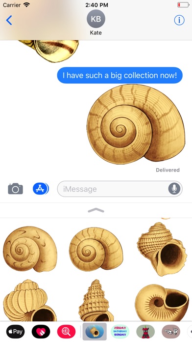 Sea Shells Stickers screenshot 2