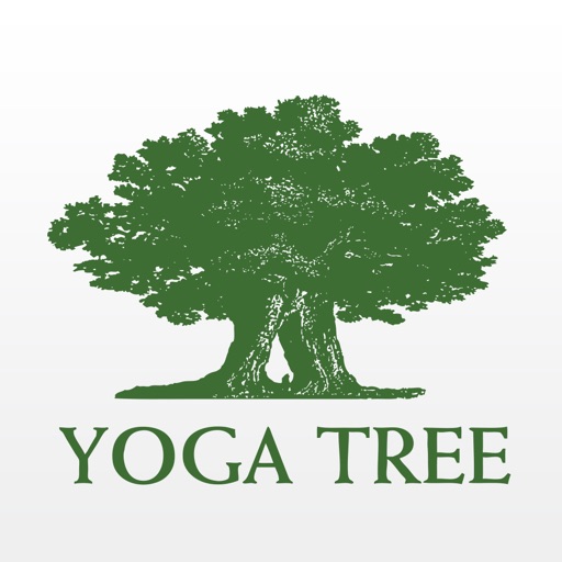 Yoga Tree SF icon