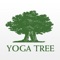 Download the Yoga Tree iPhone/iPad App today to plan and schedule your classes