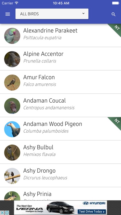 India Birds