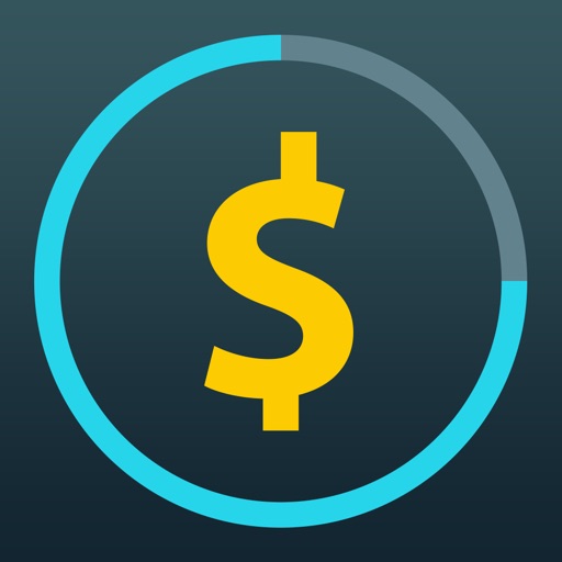 Money Pro Lite: Finance iOS App