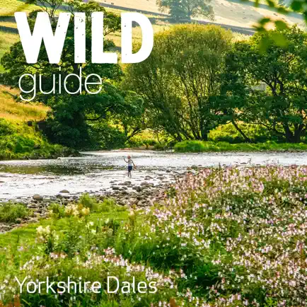 Wild Guide Yorkshire Dales Читы