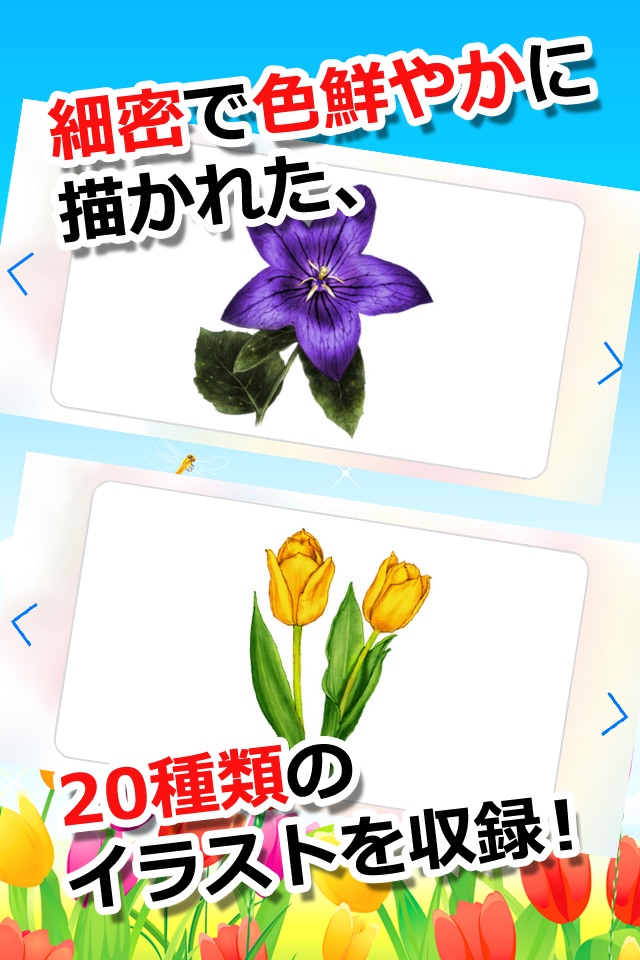 みんなの花カード screenshot 2