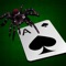 A fun game at its best, ZXBEE Spider Solitaire is the #1 ranked Spider Solitaire Game