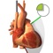 The primary challenge in learning TEE is translating the two dimensional echocardiographic image into a visualization of the complex three-dimensional (3D) structure of the heart