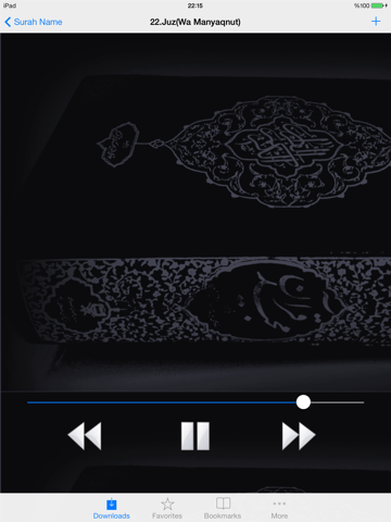 Holy Quran Juz MP3 - náhled
