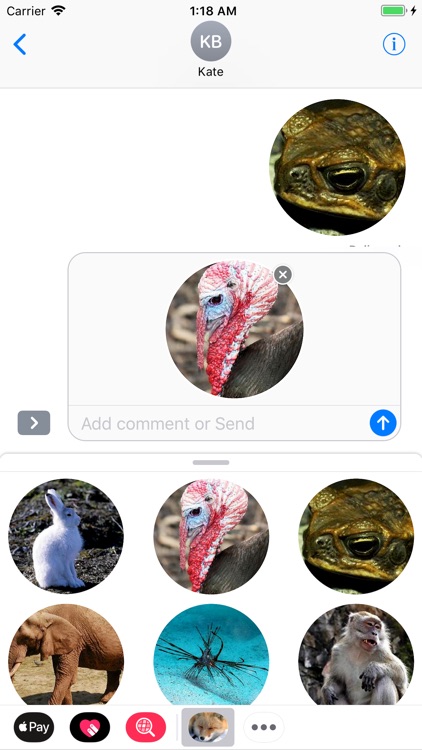 Animal Stickers 4 iMessage