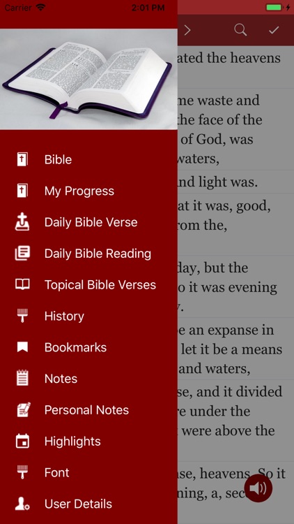 American King James Bible
