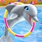 - YOUR FAVORITE DOLPHIN GAME JUST GOT EVEN BETTER