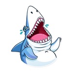Funny Shark Sticker 2019