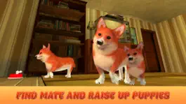 Game screenshot Corgi Stray Dog Simulator apk