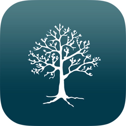 NIV Student Bible