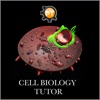 Cell Biology Tutor