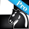 Get SmallChess Pro for iOS, iPhone, iPad Aso Report
