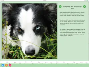 Imágen 3 Tekla och fåren iphone