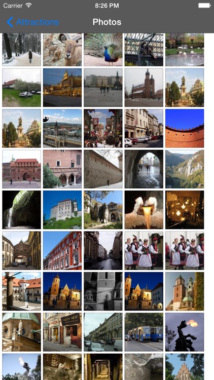 Krakow Travel Guide Offline