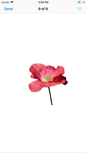 Red Poppy Stickers(圖7)-速報App