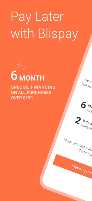 Payday loans 5 mins image 8