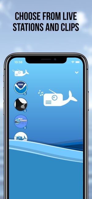 Whale Radio(圖5)-速報App