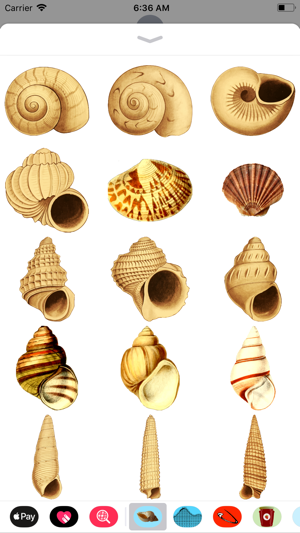 Seashell Stickers(圖1)-速報App