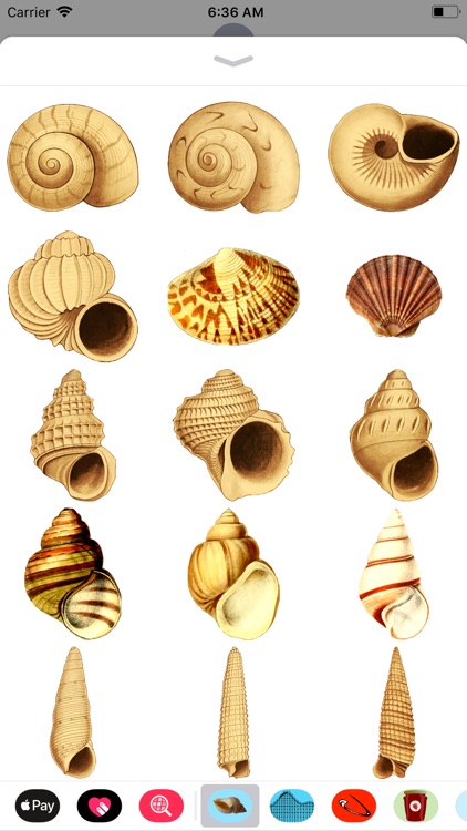 Seashell Stickers