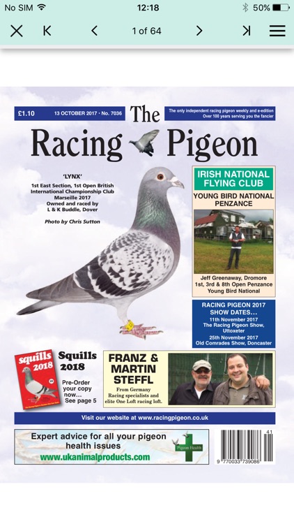 The Racing Pigeon