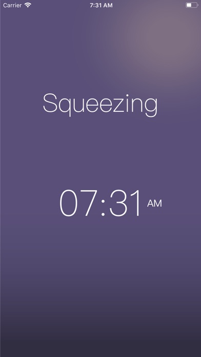 Squeeze Alarm screenshot 3