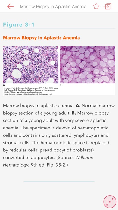 Williams Manual of Hematology screenshot 4