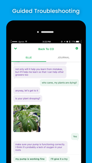 WeGrow: A bot for home growers(圖3)-速報App