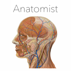 Anatomist – Anatomy Quiz App for Medical Students