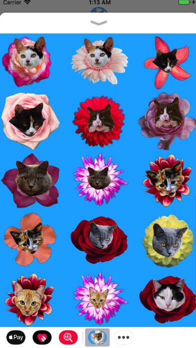 Kitty Bouquet screenshot 4