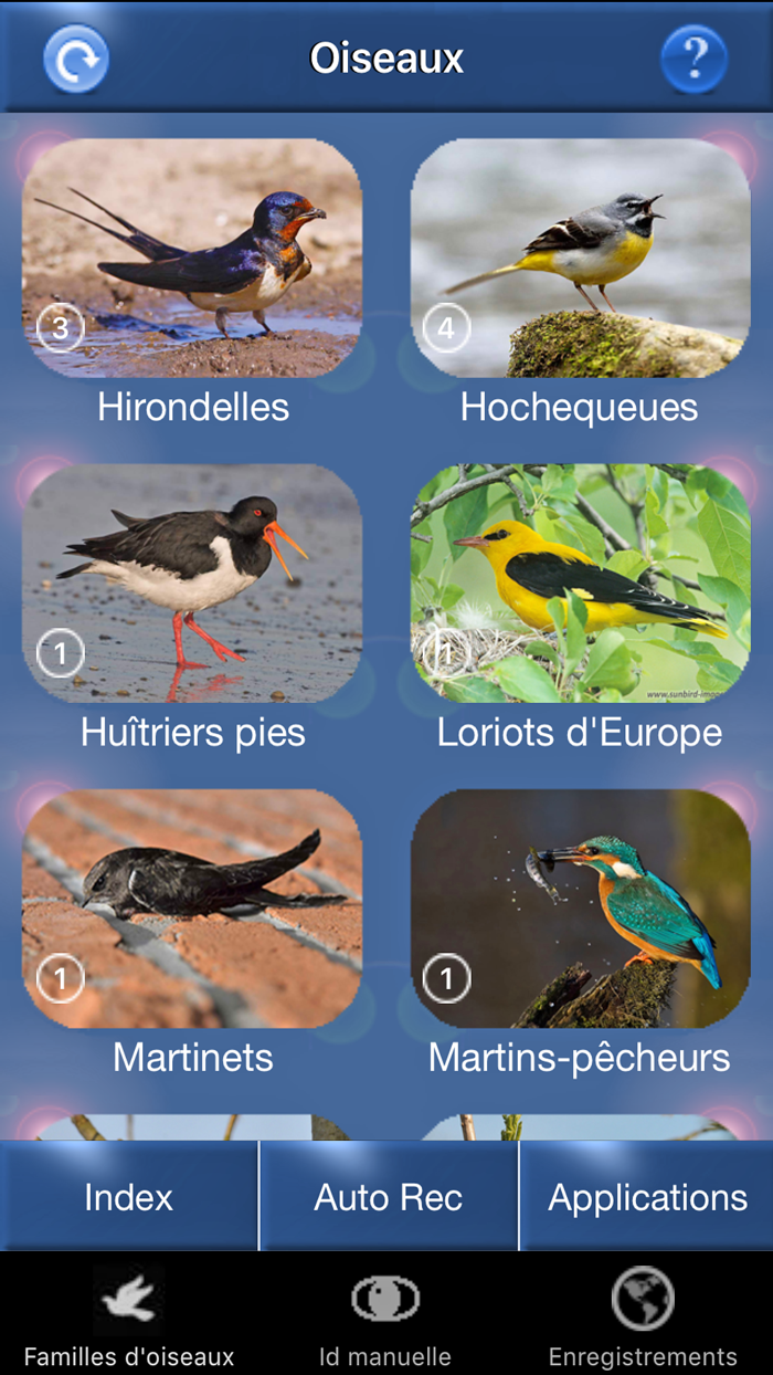 Chants d’oiseaux avec reconnaissance automatiques