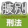 辰已の肢別本 H29版(2018年対策) 刑法