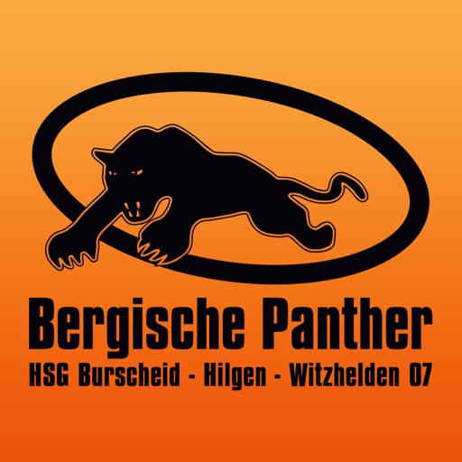 HSG Bergische Panther icon