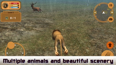 Wild Lion Simulator Attack 3D screenshot 2