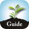 Icon Tree Plant Garden Answers Identification