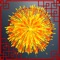 Fireworks is a fun app for all ages, as well as an app with stunning, realistic graphics and fireworks sounds