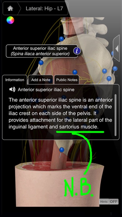 【图】Hip Pro III(截图3)
