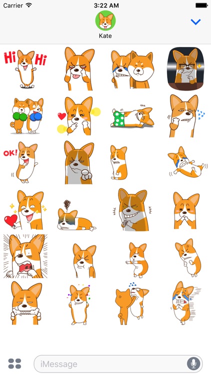 Welshcorgi Mr.Lee Cute Special