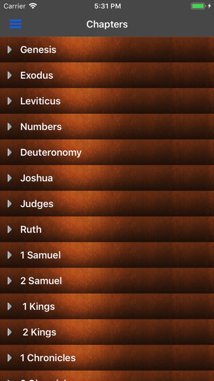 The Bible - Lite