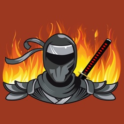 Ninja in the Fire