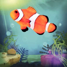 Activities of Fishes Aquarium for Toddlers