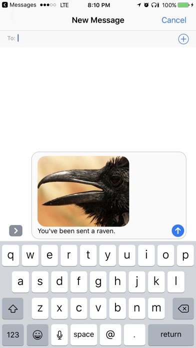 Raven Send screenshot 4