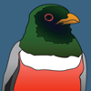 no app image