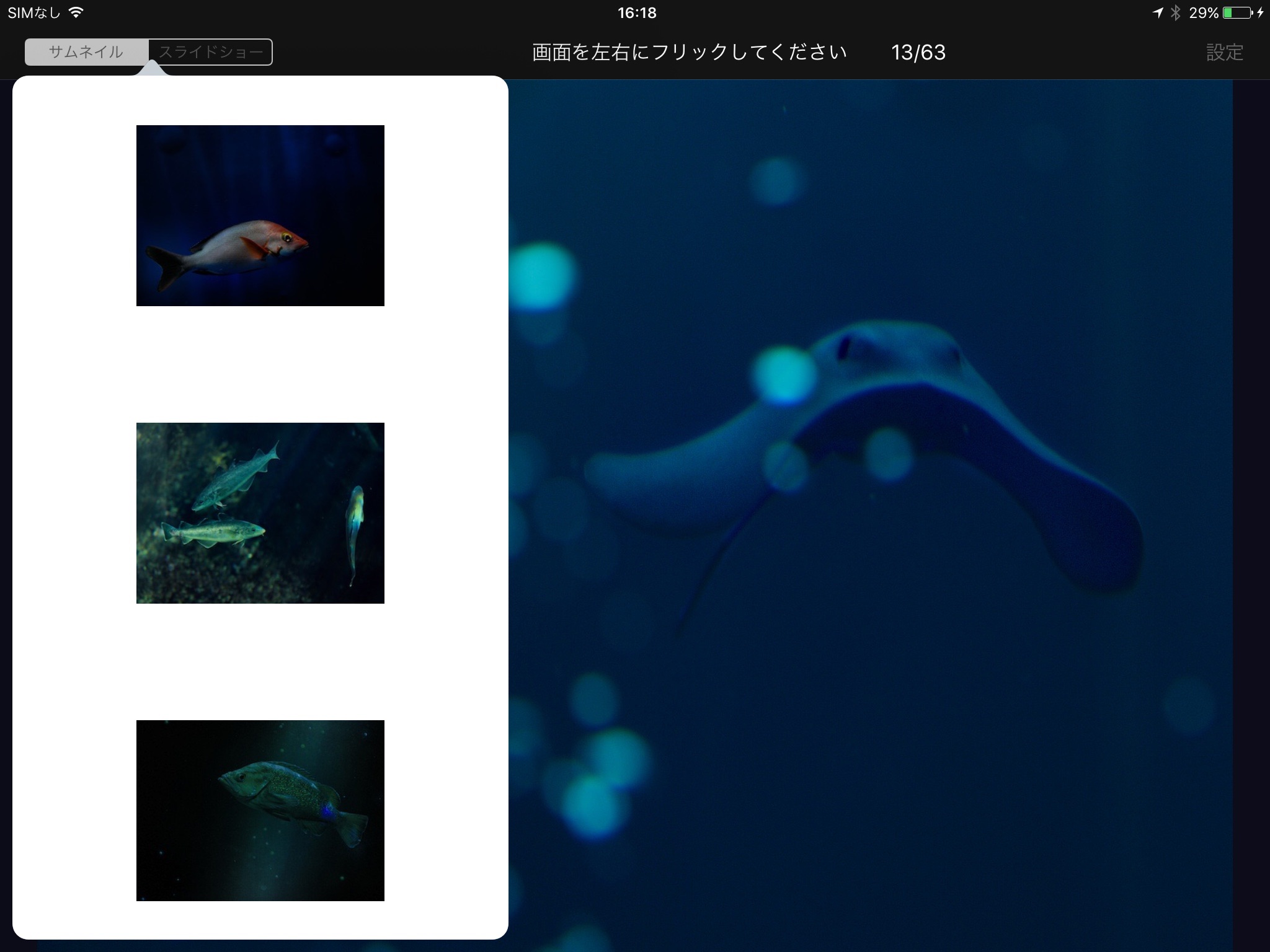 Fish in Aquamarine-FUKUSHIMA screenshot 4