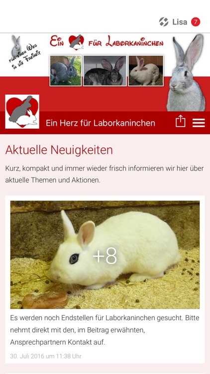 Ein Herz für Laborkaninchen