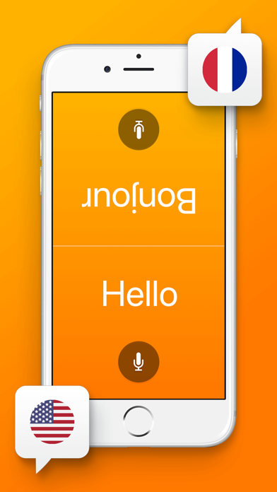 Translate Voice & Text Pro screenshot 3