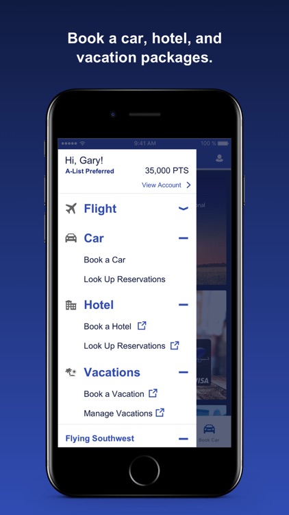 Southwest Airlines screenshot-3