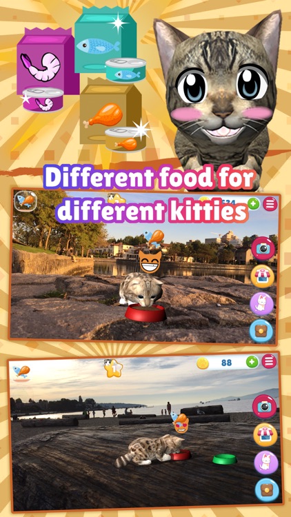 Kitty Paradise: AR Cat Care screenshot-3